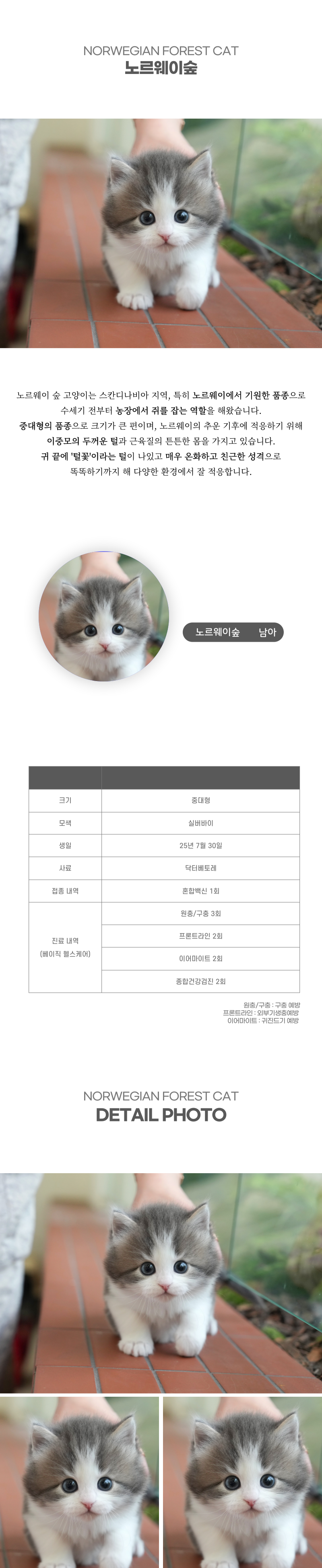 노르웨이숲_상세이미지_2